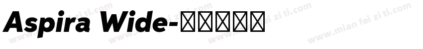 Aspira Wide字体转换